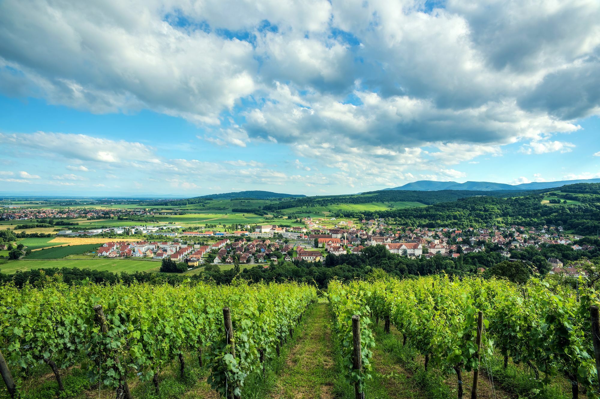 Comfort Aparthotel Mutzig Portes D'Alsace Bagian luar foto